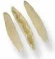 cicatelli: 2. obrázek